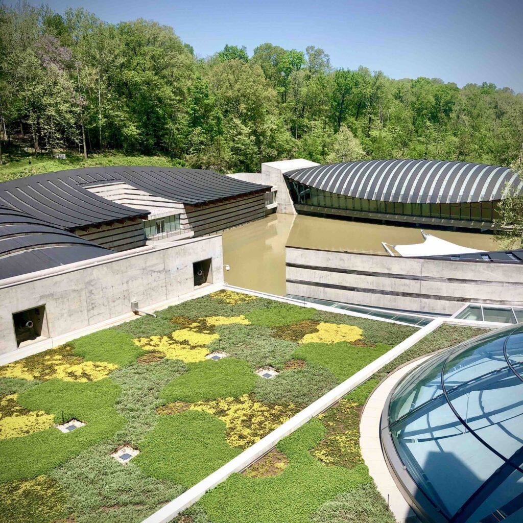 Colourful image of a modern art museum, with three modern architecture buildings, a little like insects with a body of water in between them