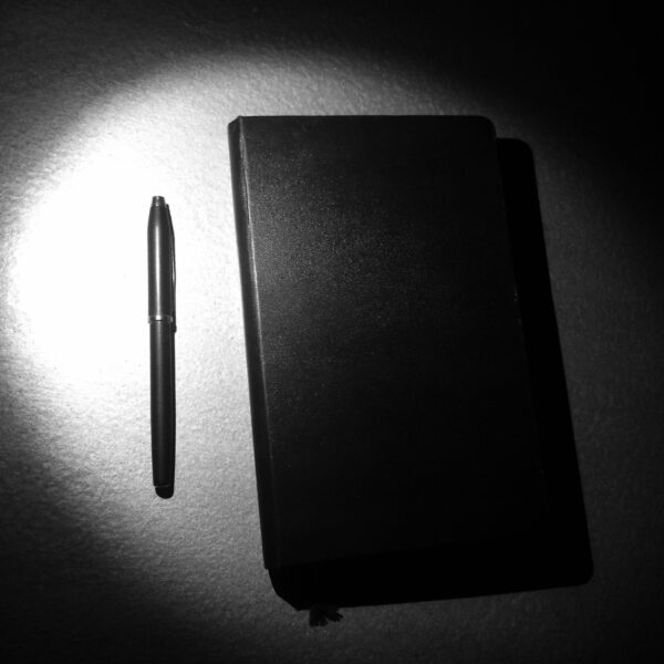 Diary and pen