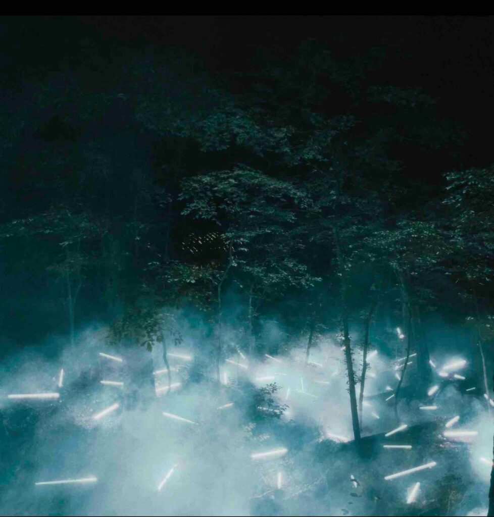 Dramatic night time image of an outdoor forest with many florescent lights lying at the base of them, coated in white smoke