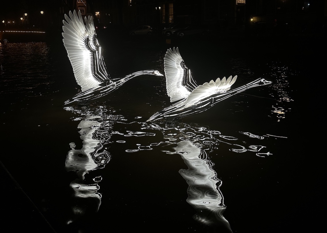 Illuminated sculptures of two flying swans at night reflecting on dark water.