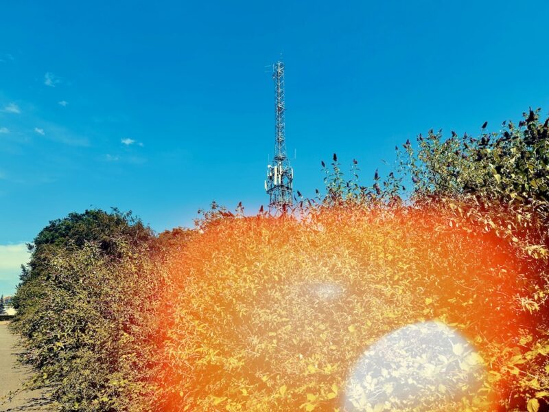 Cell tower in the background with bushes and a bright orange light leak effect in the foreground under a clear blue sky