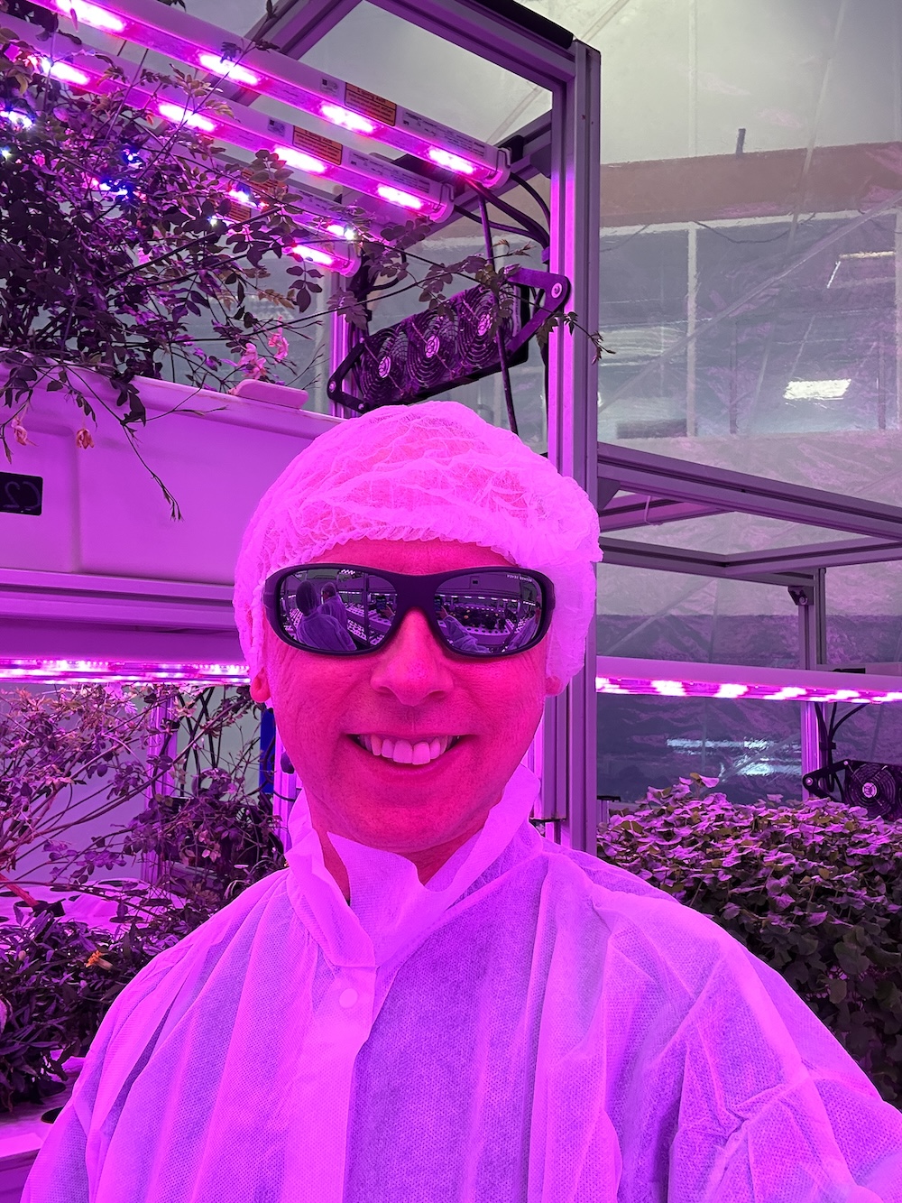 Man wearing protective clothing, hairnet, and sunglasses inside an indoor plant growing facility with purple LED grow lights and plants in the background.